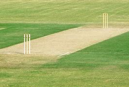 Image result for Cricket Pitch Top View Animated