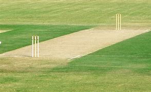 Image result for Image of Cricket Pitch