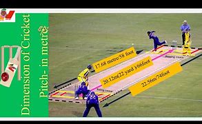 Image result for Softball Cricket Pitch