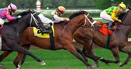 Image result for 2 Horses Racing