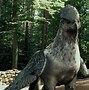 Image result for Harry Potter Animal Characters