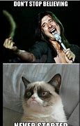 Image result for Hilarious Grumpy Cat Memes