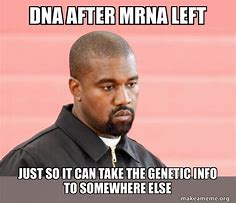 Image result for Funny DNA Memes