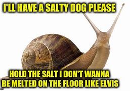 Image result for Salty Dog Meme