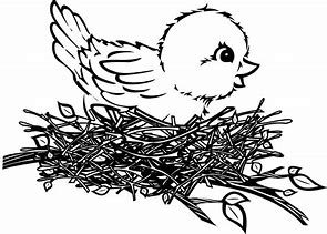Image result for Bird Nest PNG