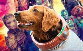 Image result for Cosmo Stellar Dog