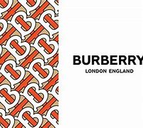 Image result for Burberry New Logo