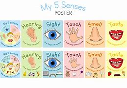 Image result for 5 Senses Cards