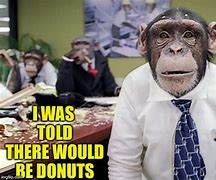Image result for Funny Monkey Office