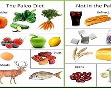 Image result for True Paleo Diet