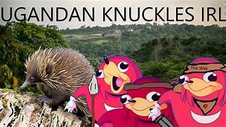 Image result for Ugadan Knuckles IRL