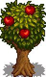 Image result for Apple Sapling