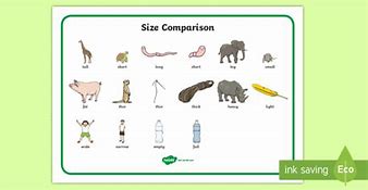 Image result for Create Your Own Size Comparison