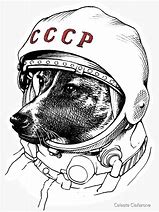 Image result for Space Dog Logo Meme