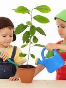 Image result for How to Take Care of Plants