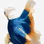 Image result for Art iPhone 6s Wallpaper