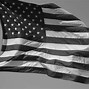 Image result for Black and White American Flag