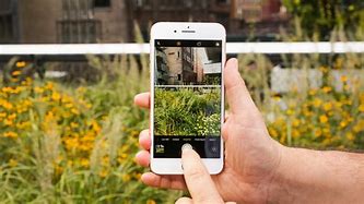 Image result for iPhone 8 Plus Camera Examples