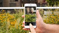 Image result for Picture Panorama Feature On the iPhone 8