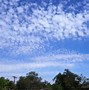 Image result for cirrocumulus
