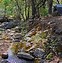 Image result for Secluded Camping