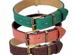 Image result for Rare Dog Collars