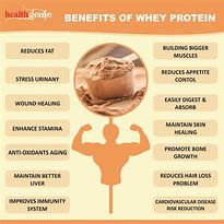 Image result for Whey Protein Foods