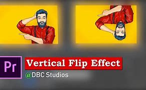 Image result for Vertical Flip
