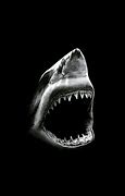 Image result for Shark Black Background