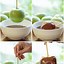 Image result for Making Caramel Apple's