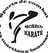 Image result for Shaked Bayaar Karate