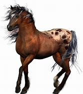 Image result for Transparent Horse Plastic Model