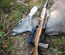 Image result for 7.62X39 Hunting