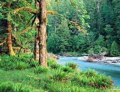Image result for 1920X1080 HD Nature Wallpapers