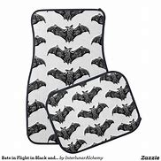 Image result for Bats On Floor