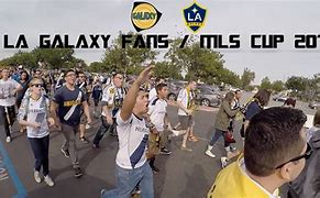 Image result for LA Galaxy Fans Funny