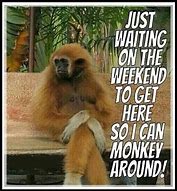 Image result for Quotes Funny 2020 Weekend
