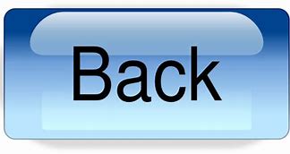 Image result for Modern Back Button Icon