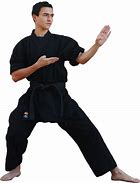 Image result for Karate Fighter