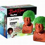 Image result for Bob Ross Happy Bushes