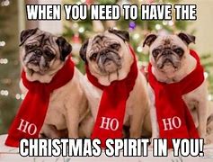Image result for Happy Holidays Dog Meme