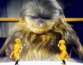 Image result for Star Wars Holiday Special Memes