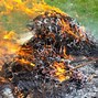 Image result for Berm around Brush Pile to Burn