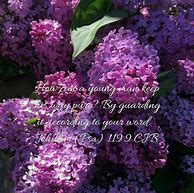 Image result for Pretty Bible Quotes