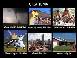 Image result for oklahoma cats memes variation