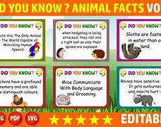Image result for Clip Art of Did You Know with Animals