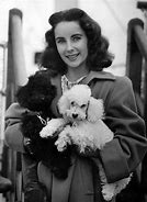 Image result for Famous Dogs and Cats