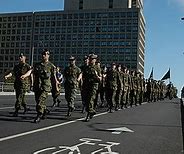 Image result for Canadian Armed Forces in Action