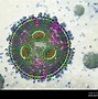 Image result for Nanoparticles Types