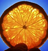 Image result for Orange Filter Photography